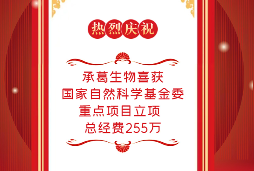 精品久久久久久无码人妻