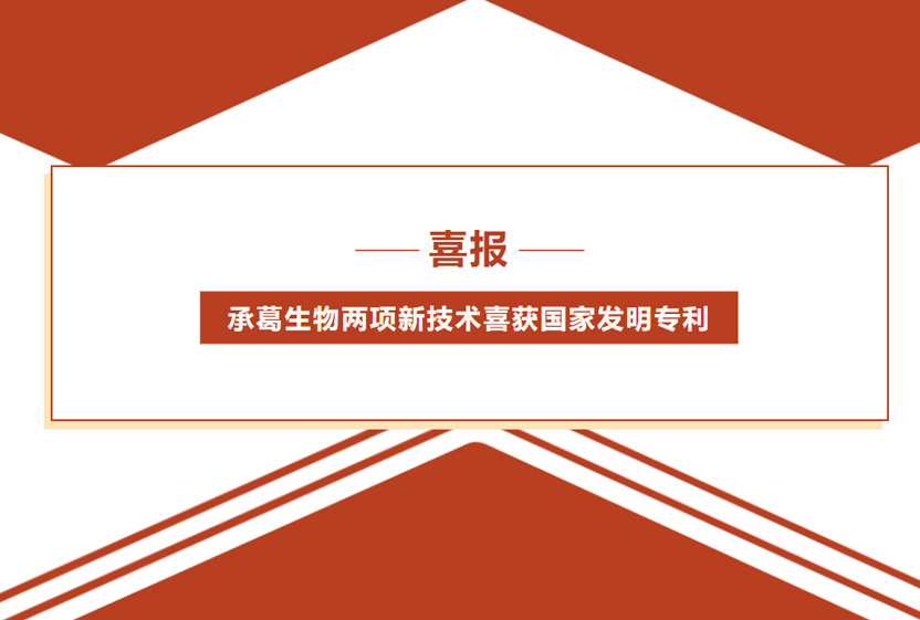 精品久久久久久无码人妻