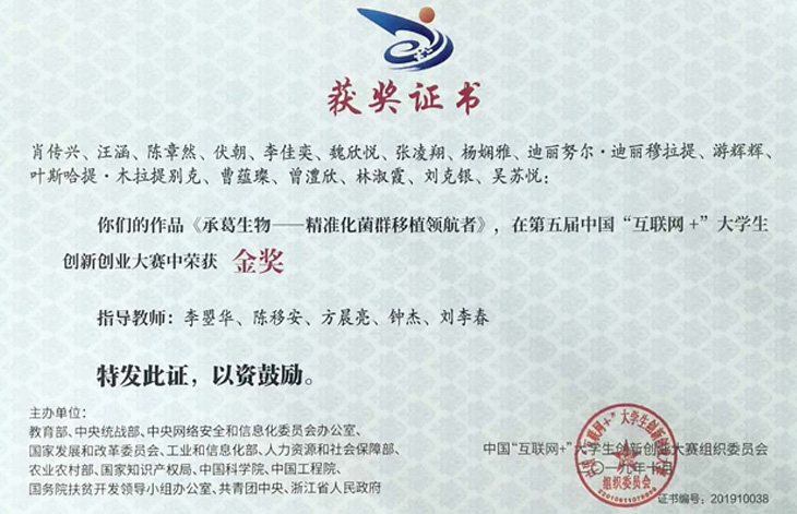 精品久久久久久无码人妻