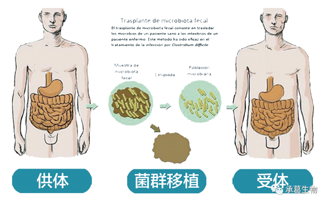 精品久久久久久无码人妻