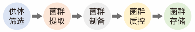 精品久久久久久无码人妻
