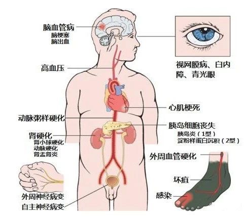 精品久久久久久无码人妻