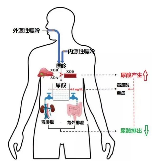 精品久久久久久无码人妻
