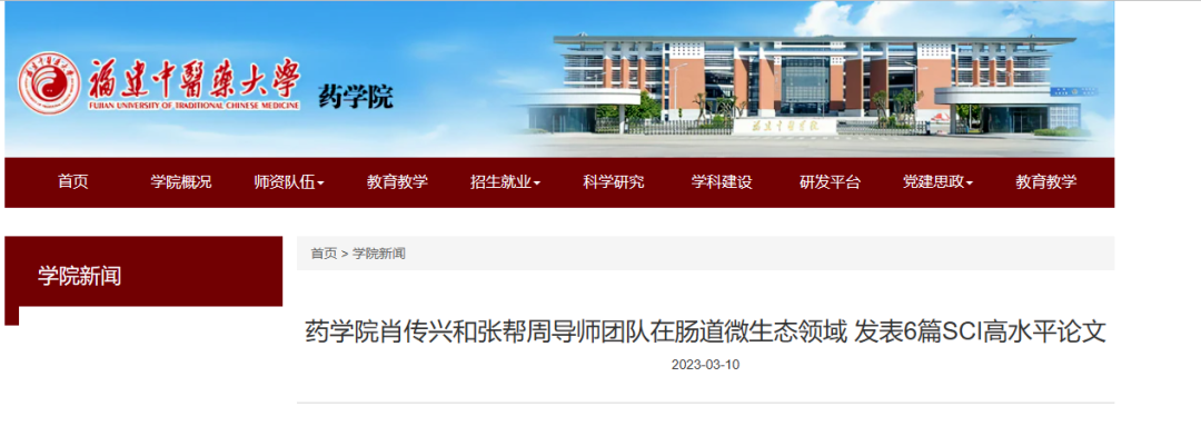 精品久久久久久无码人妻