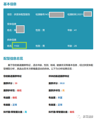 精品久久久久久无码人妻