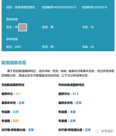 精品久久久久久无码人妻