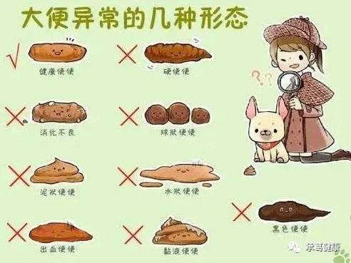 精品久久久久久无码人妻