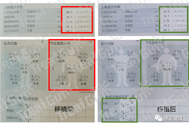 精品久久久久久无码人妻