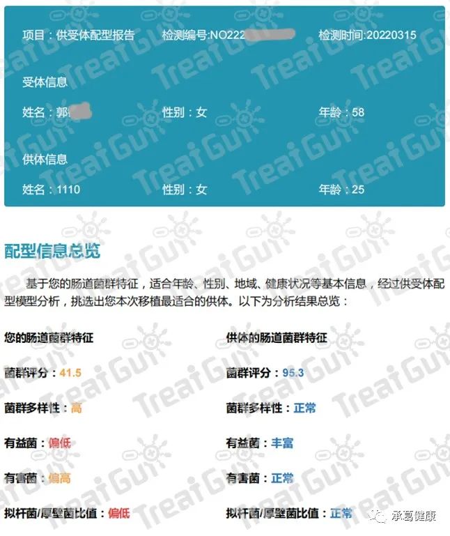 精品久久久久久无码人妻
