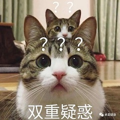 精品久久久久久无码人妻