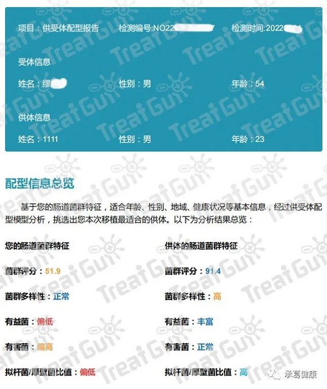 精品久久久久久无码人妻