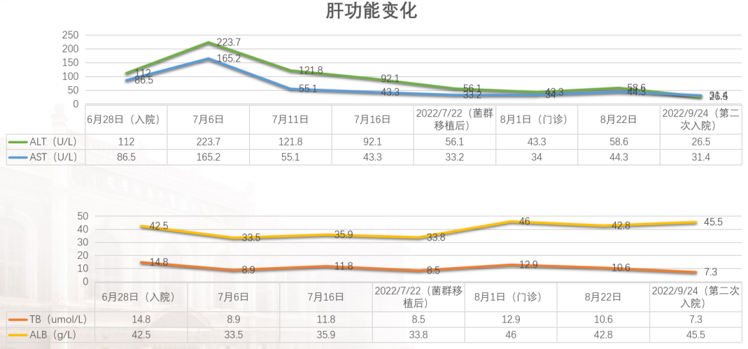 精品久久久久久无码人妻