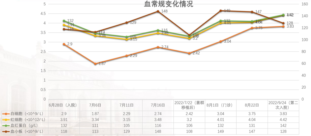 精品久久久久久无码人妻