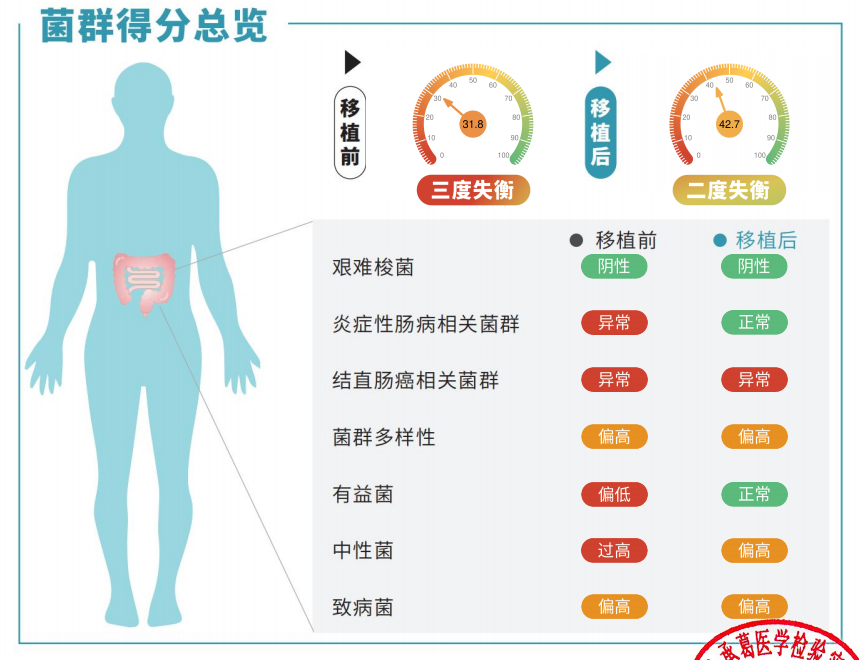 精品久久久久久无码人妻