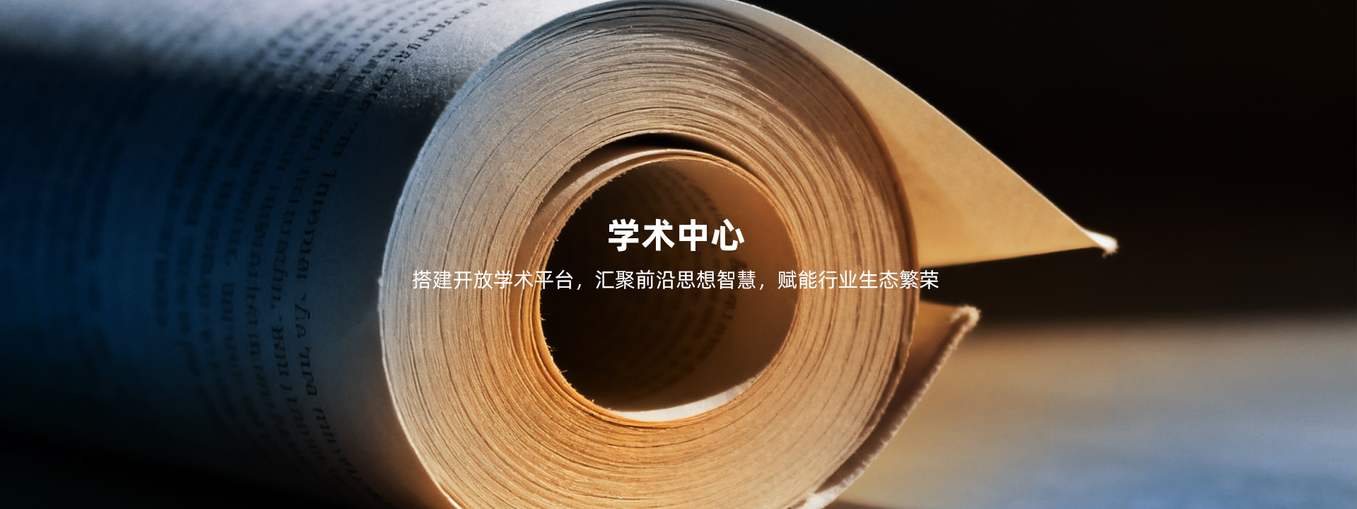 精品久久久久久无码人妻