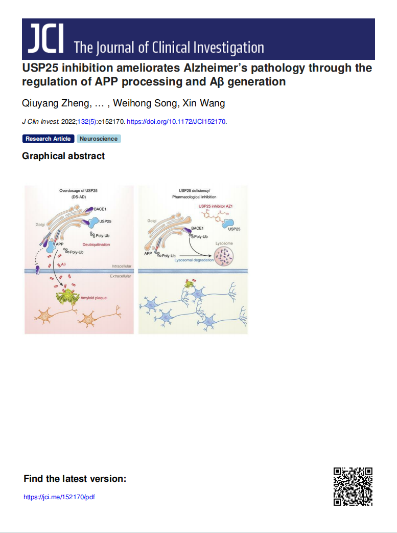 精品久久久久久无码人妻
