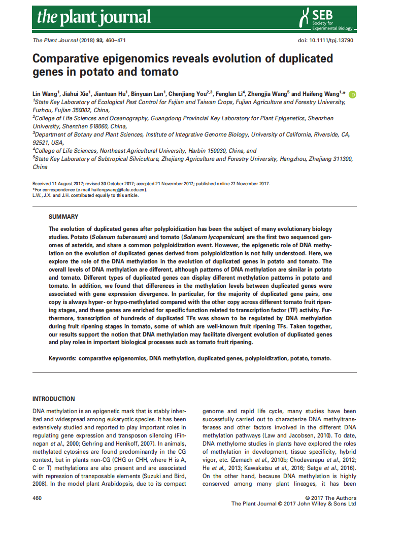 精品久久久久久无码人妻