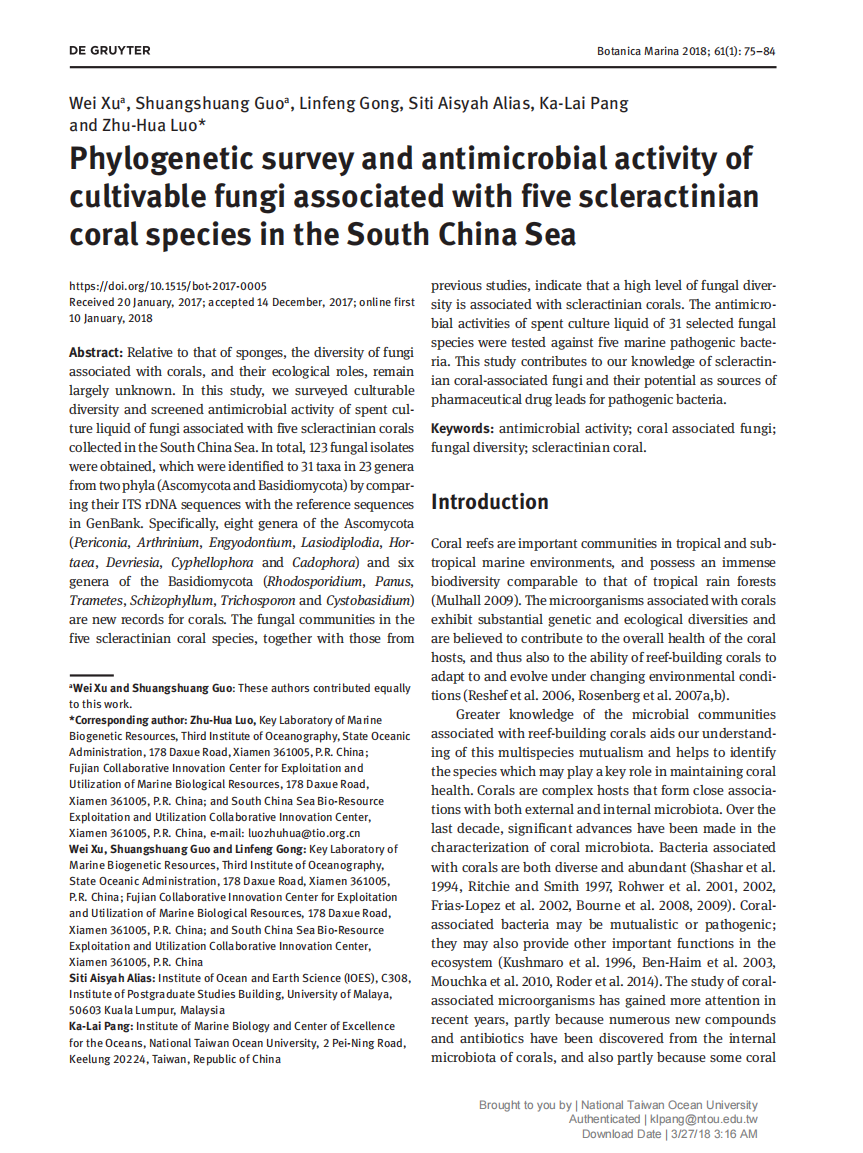 精品久久久久久无码人妻