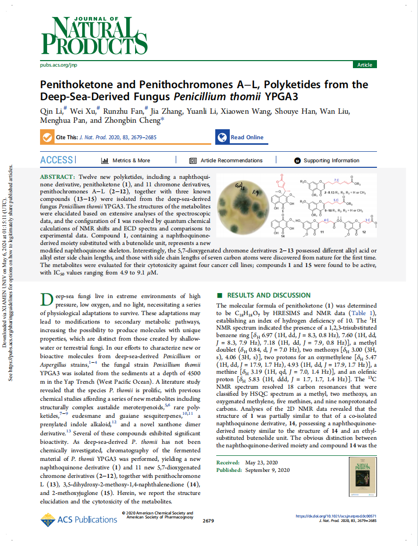 精品久久久久久无码人妻