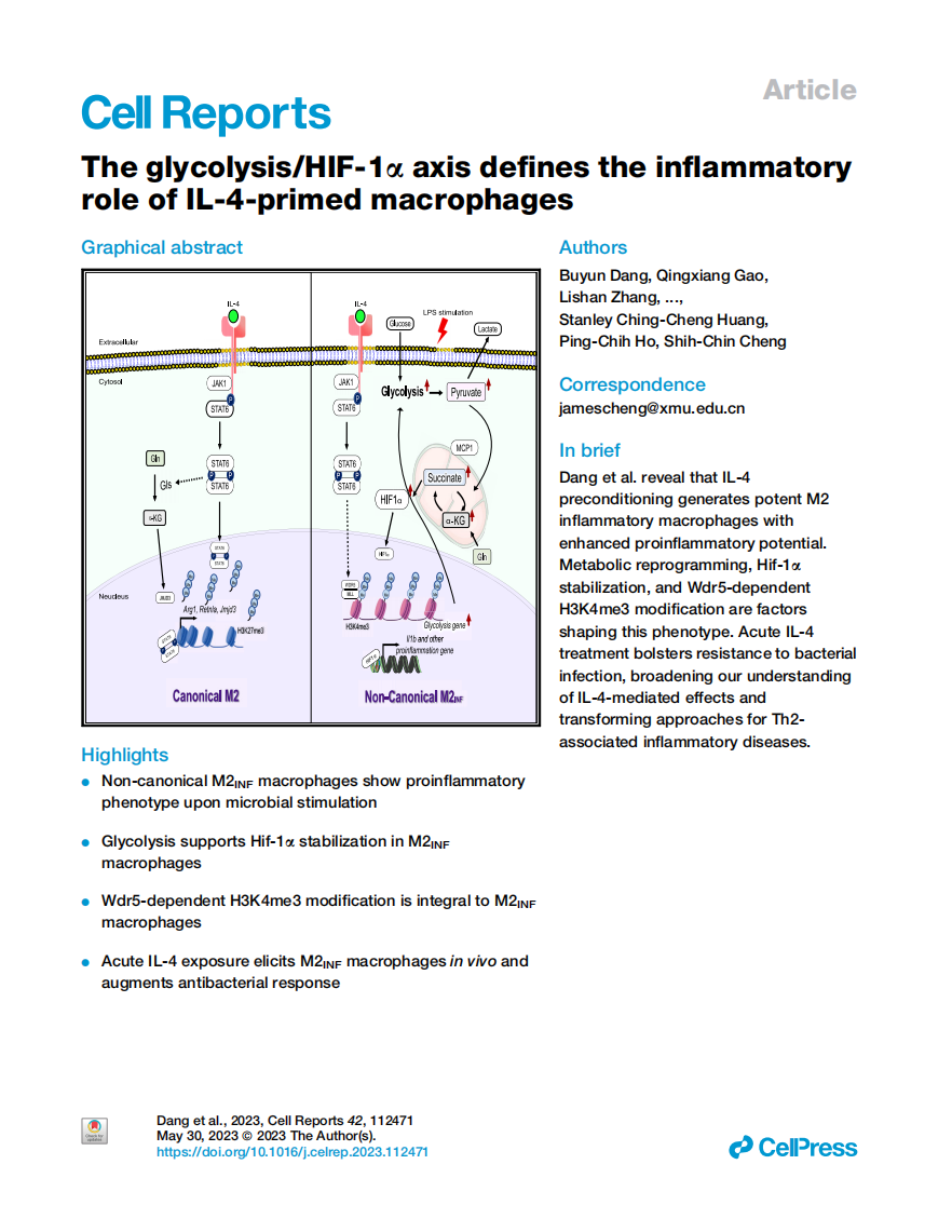 精品久久久久久无码人妻