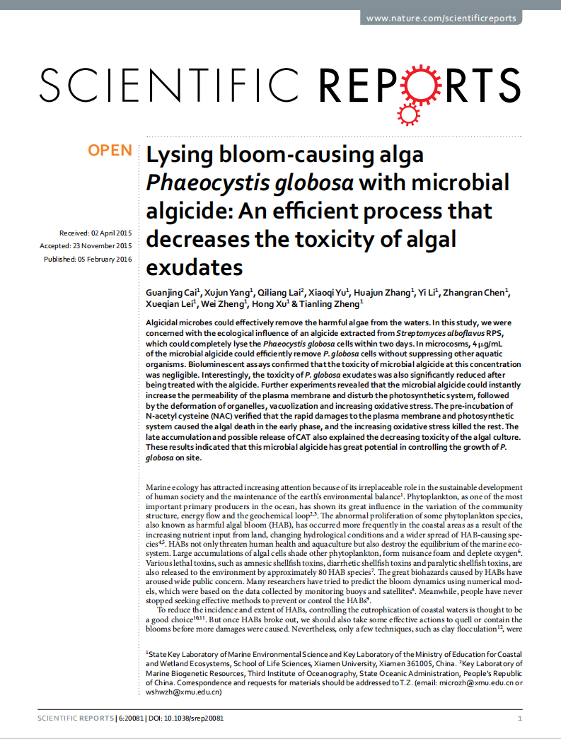 精品久久久久久无码人妻