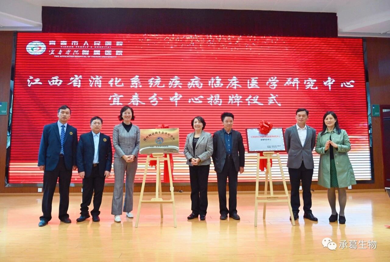 精品久久久久久无码人妻