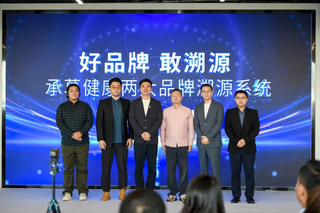 精品久久久久久无码人妻