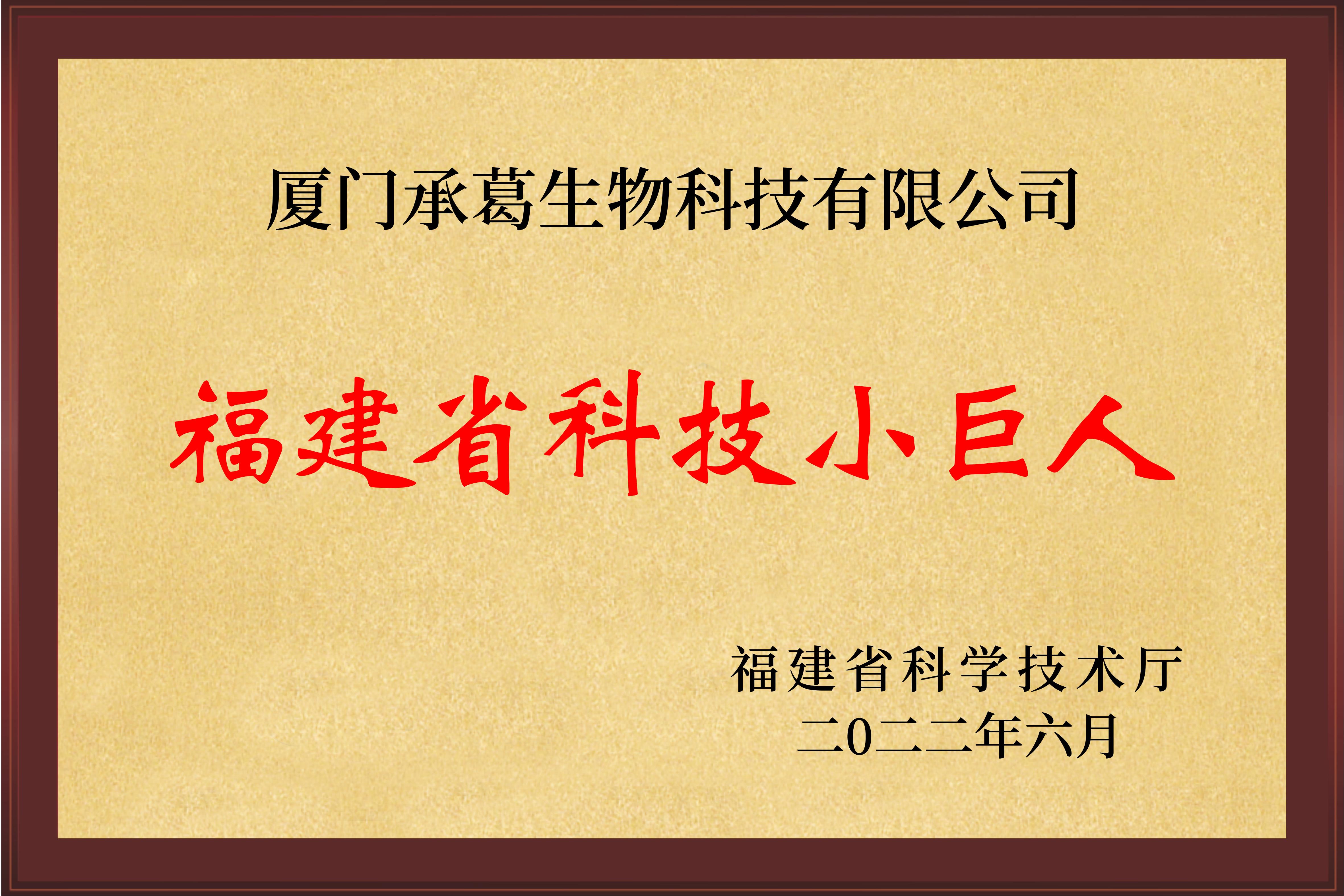 精品久久久久久无码人妻