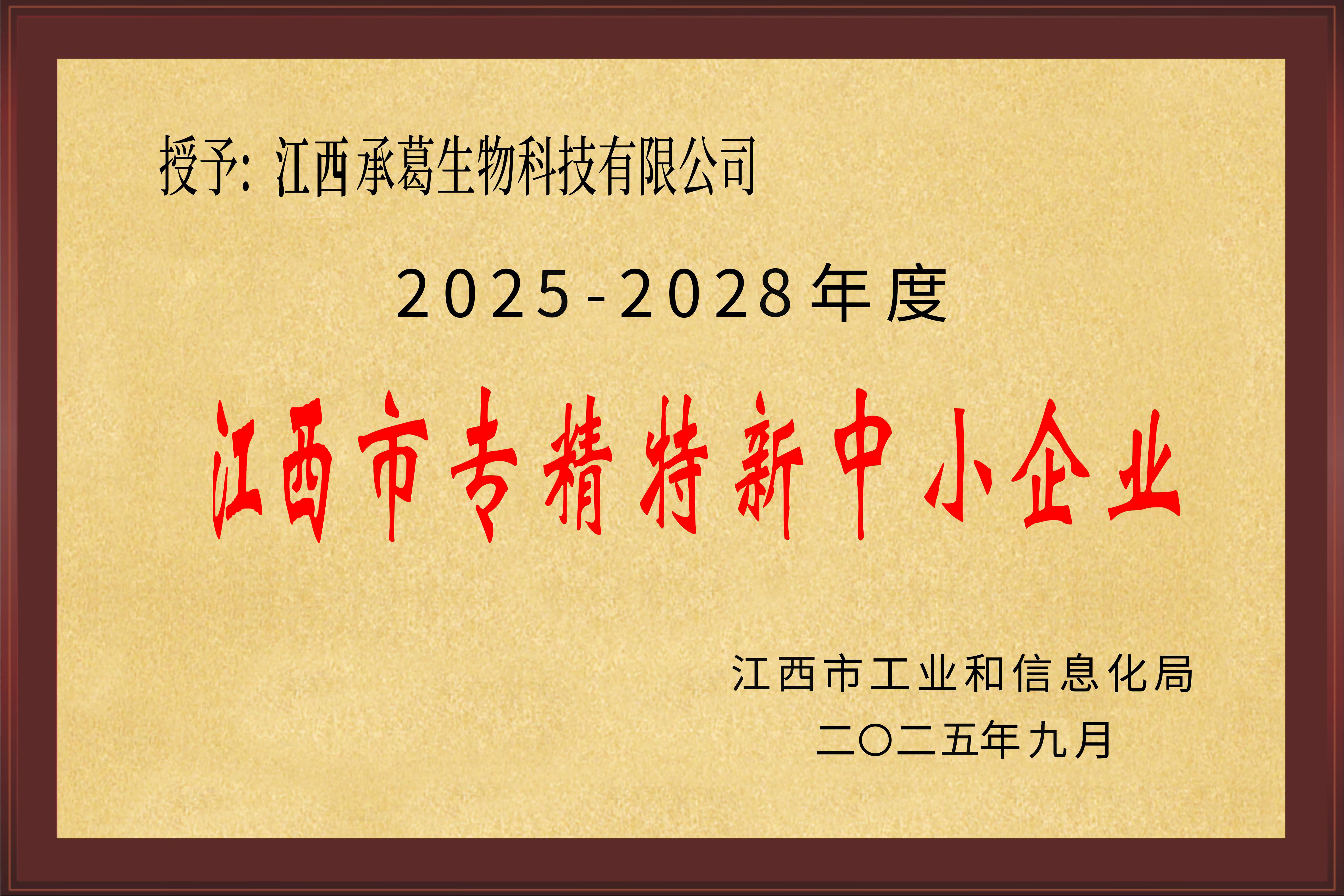 精品久久久久久无码人妻