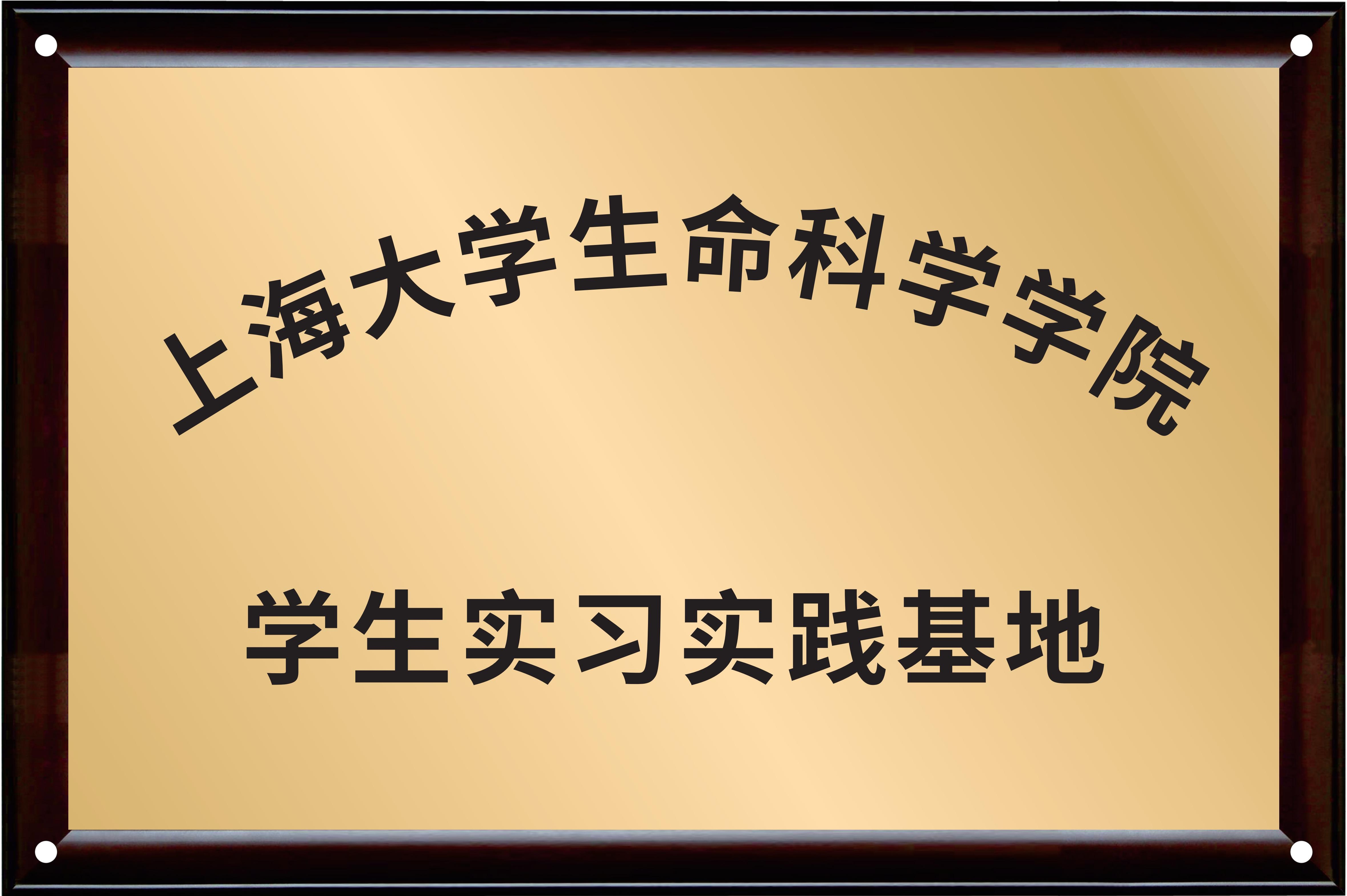 精品久久久久久无码人妻