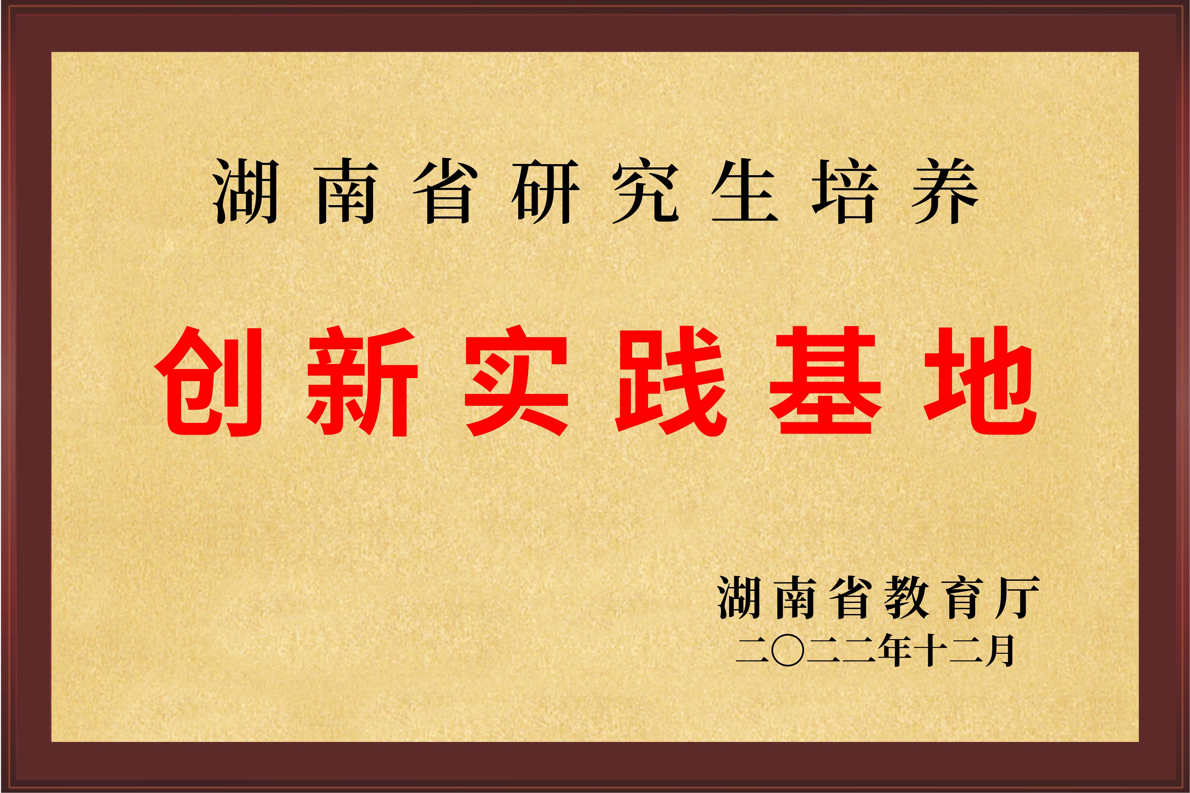精品久久久久久无码人妻