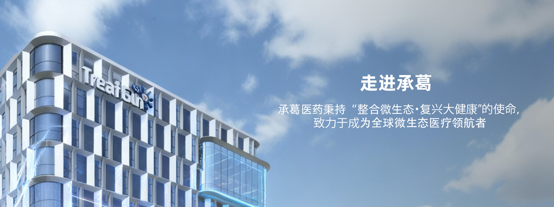 精品久久久久久无码人妻