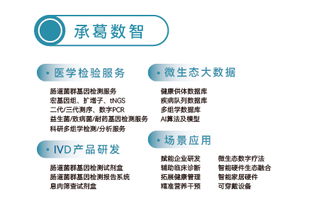 精品久久久久久无码人妻